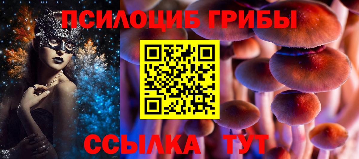 Соликамск  Галлюциногенные грибы Cubensis  Вход с VPN 